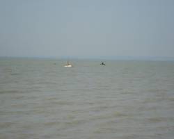 Horgászverseny Badacsonytördemic, Badacsonylábdihegy - 2009